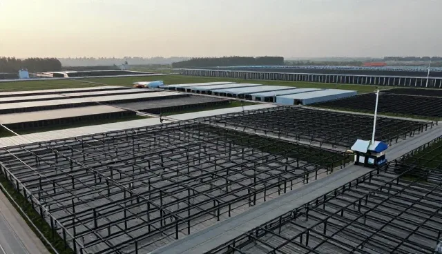 本地化服务在不同场景下的实际应用分析